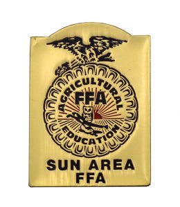 SUN AREA FFA PIN DIE STRUCK PIN