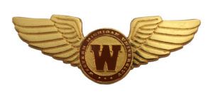 WINGS PIN 2” DIE STRUCK ANTIQUE GOLD METAL, ENAMEL FILL