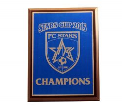  ROYAL BLUE PLATING SOCCER BRASS PLAQUE 