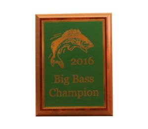 2016 BIG BASS FISHING CHAMPION BRASS PLAQUE