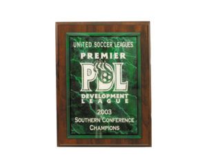 Marble SOCCER BRASS PLAQUE