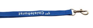 blue lanyard