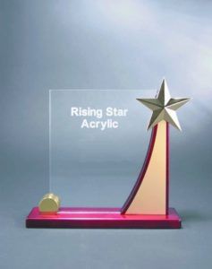 Rising Star Acrylic Award