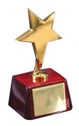  AWARD 