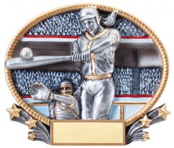 silver softball award