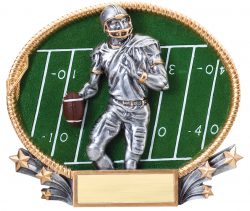 Custom Sports Championship Awards