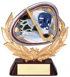 Multicolor Hockey Award