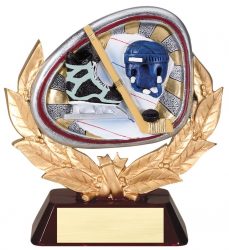 Multicolor Hockey Award