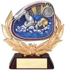 Swimming Award