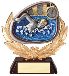 Swimming Award
