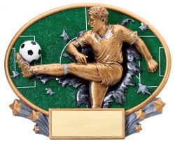 soccer award plaque - male