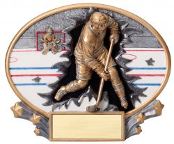 hockey trophies & awards