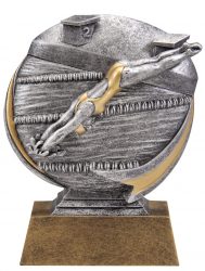 Swimming Award