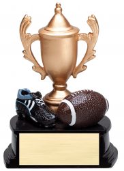 football trophy