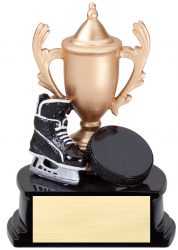 Gold Hockey Award with puck and skate