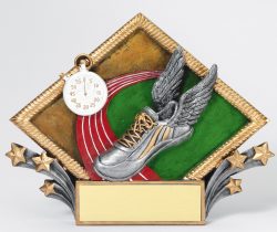 mULTICOLOR Running Award Plaque