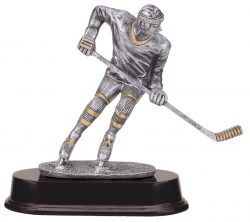 Silver and Gold Hockey Award