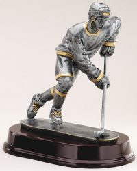 Silver and Gold Hockey Award