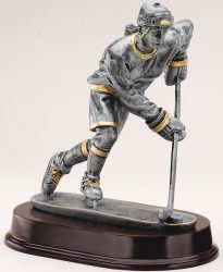 Silver and Gold Hockey Award