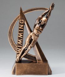 Gold Swimming Award