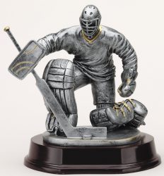 Silver and Gold Hockey Award