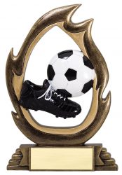 soccer award