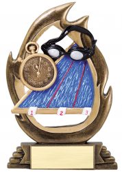 Swimming Award with lanes, stopwatch and goggles