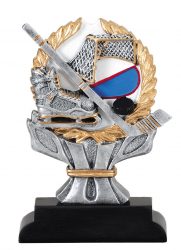 Multicolor Hockey Trophy