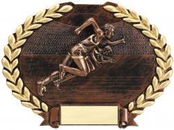 Gold Running Award Plaque