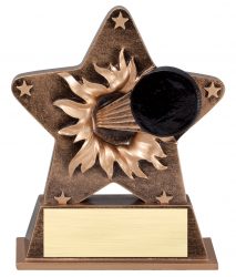 Hockey Award Star