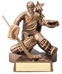 Hockey Award