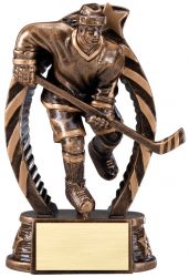 Hockey Award