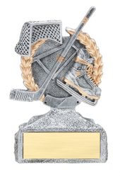 Silver and Gold Hockey Trophy