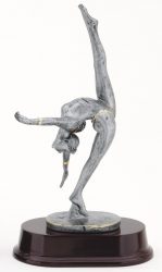 gymnastics award