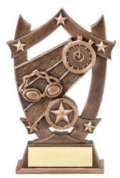 Swimming Award