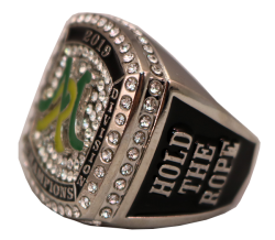  2019 MR ECON CHAMPIONSHIP RING SIDE 1 