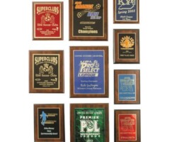 <a href="https://www.missionawards.com/plaques/">Plaques</a> Custom Wooden Plaques
