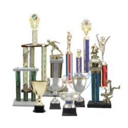 <a href="https://www.missionawards.com/trophy-cup/">Trophies</a> custom trophies