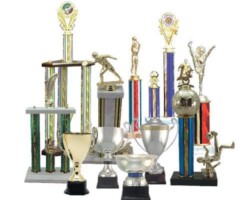 <a href="https://www.missionawards.com/trophy-cup/">Trophies</a> custom trophies